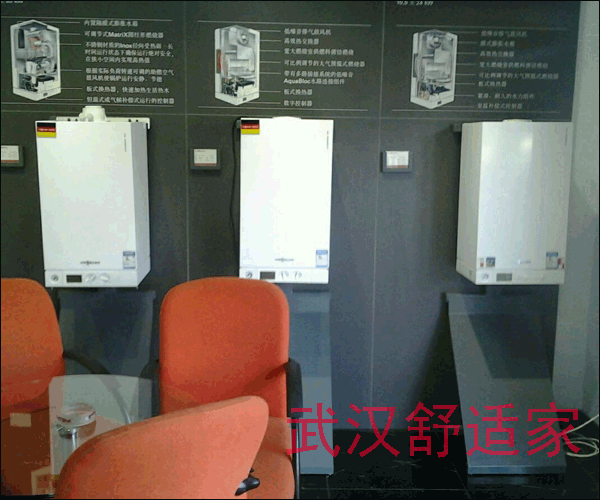 菲斯曼燃?xì)獗趻鞝t展示