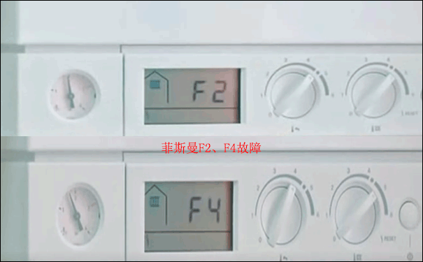 ˹F2˹F4